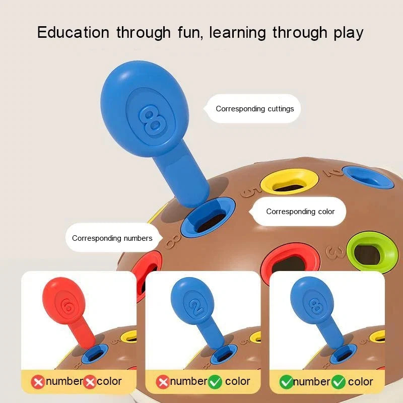Hedgehog Montessori Sensory Toy