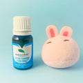 Little Calming Blend | Gentle Essential Oil for Kids’ Peace & Emotional Balance